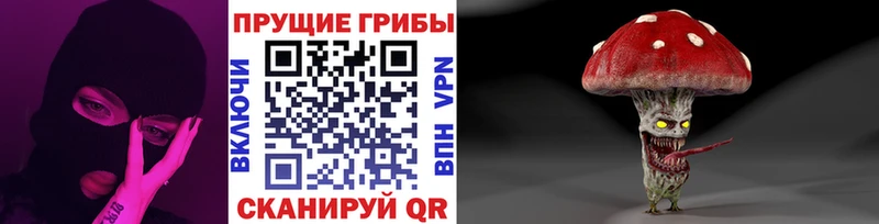 купить наркотик  кракен ONION  площадка официальный сайт  Кольчугино  Псилоцибиновые грибы Psilocybine cubensis 